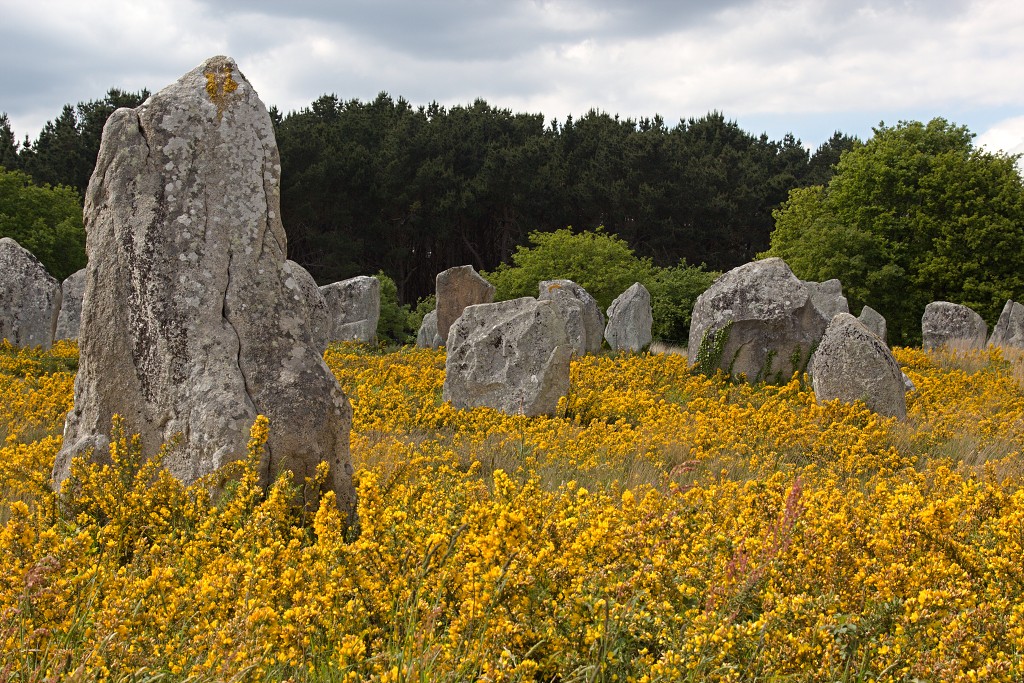 Megalithes megalieten megaliet carnac monteneuf champ dolent bretagne france frankrijk menhir obelix hdr menhirs morbihan asterix